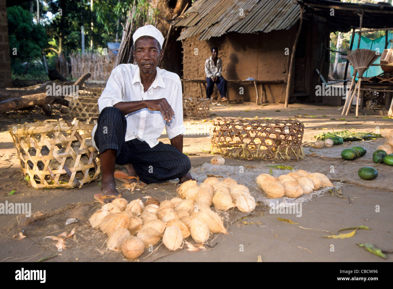Vende noci di cocco lungo una strada a Dar es Salaam in Tanzania Foto Stock
