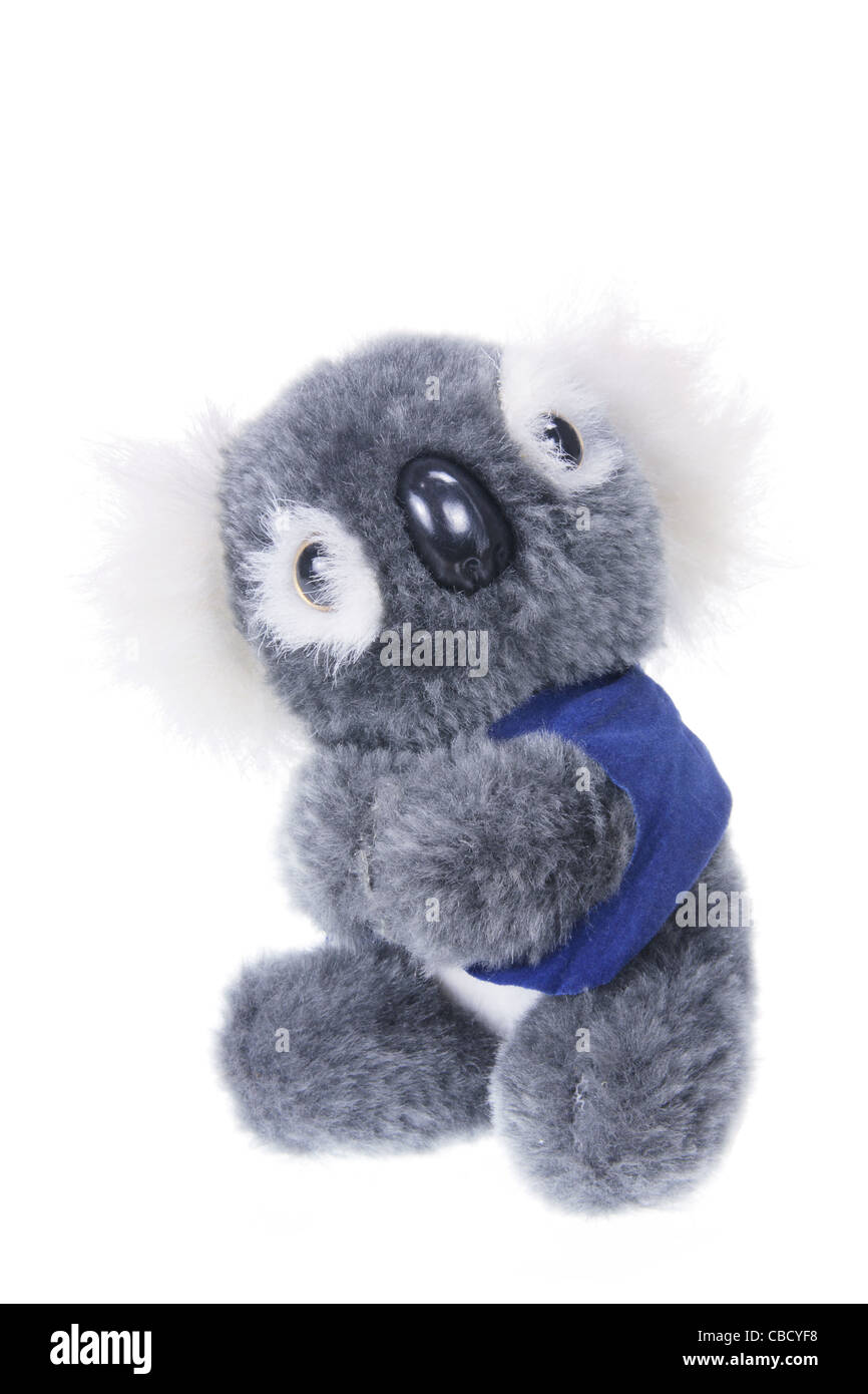 Koala di peluche Foto Stock