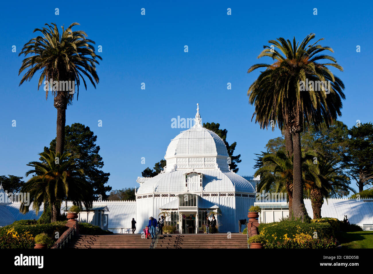 San Francisco Conservatorio di fiori, Golden Gate Park di San Francisco, California, Stati Uniti d'America Foto Stock
