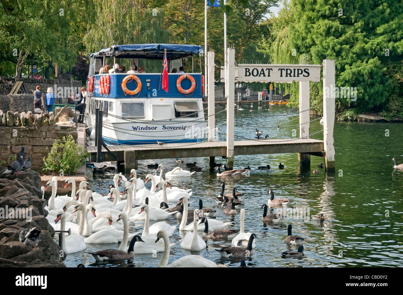 Gite in barca Royal Windsor, Thames di Fiume Foto Stock