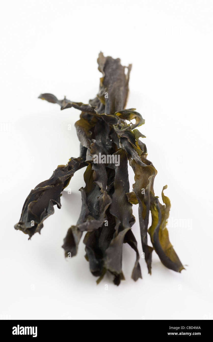 Essiccato (alghe wakame) Foto Stock