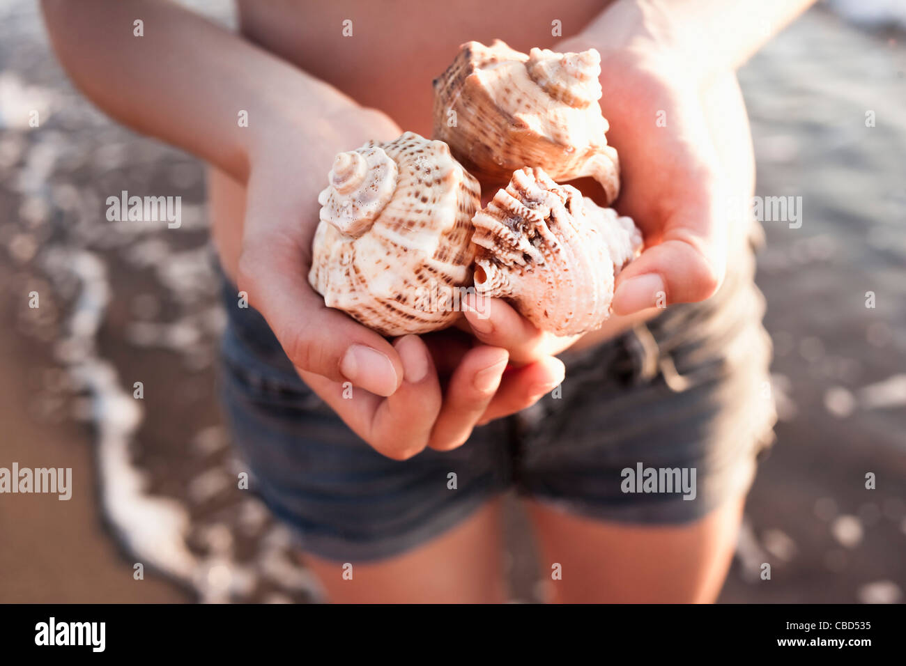 Donna che mantiene conchiglie sulla spiaggia Foto Stock