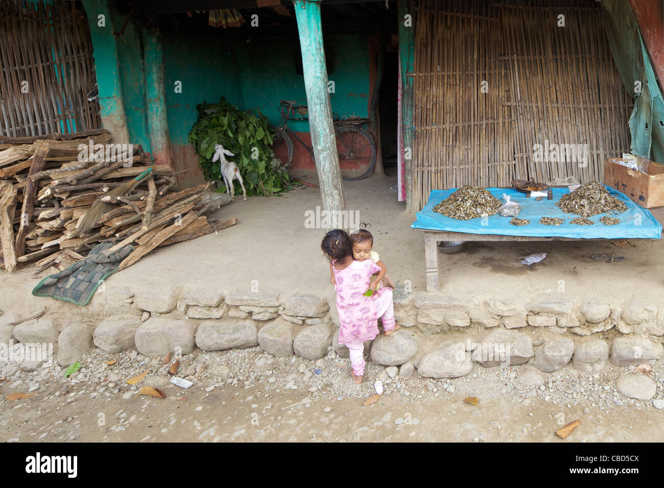 Ragazza giovane bambino portando, la vita del villaggio, Chatara, Terai, Nepal, Asia Foto Stock