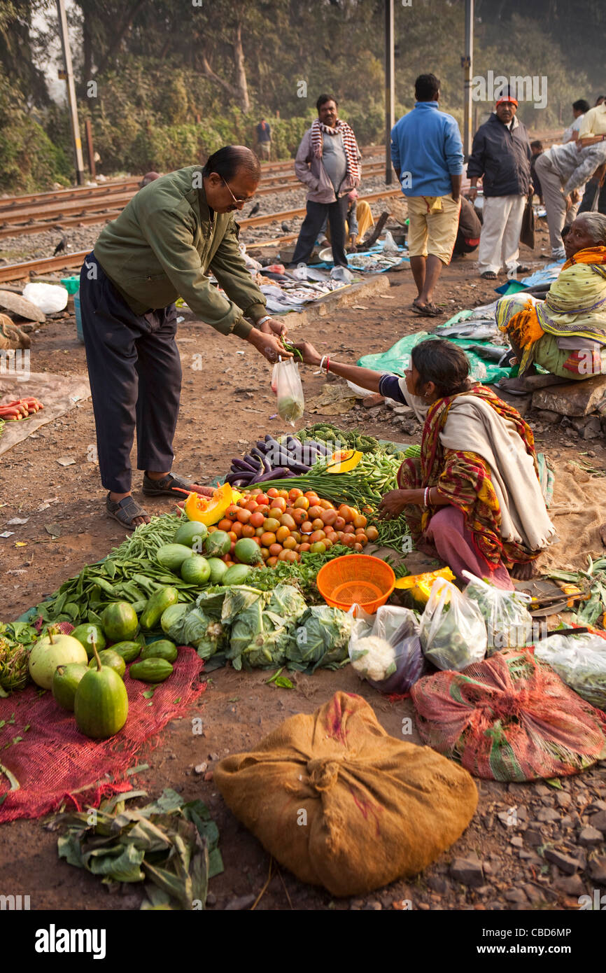 India Bengala Occidentale, Calcutta, Rabindra Sarovar, il parco del lago stazione ferroviaria, mercato ortofrutticolo accanto ai brani Foto Stock