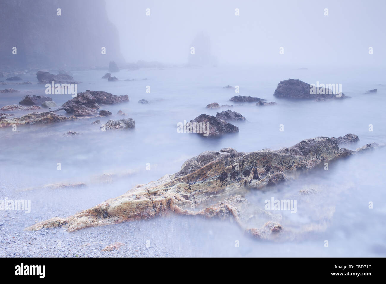 Nebbia rotolamento sulla spiaggia rocciosa Foto Stock