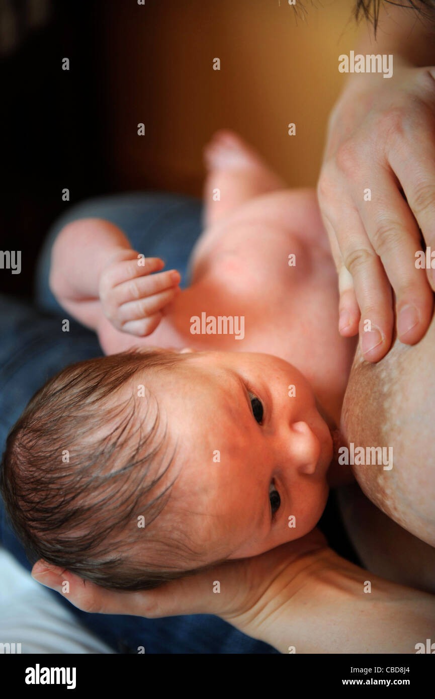 Un mese di old baby boy allattamento con sua madre REGNO UNITO Foto Stock