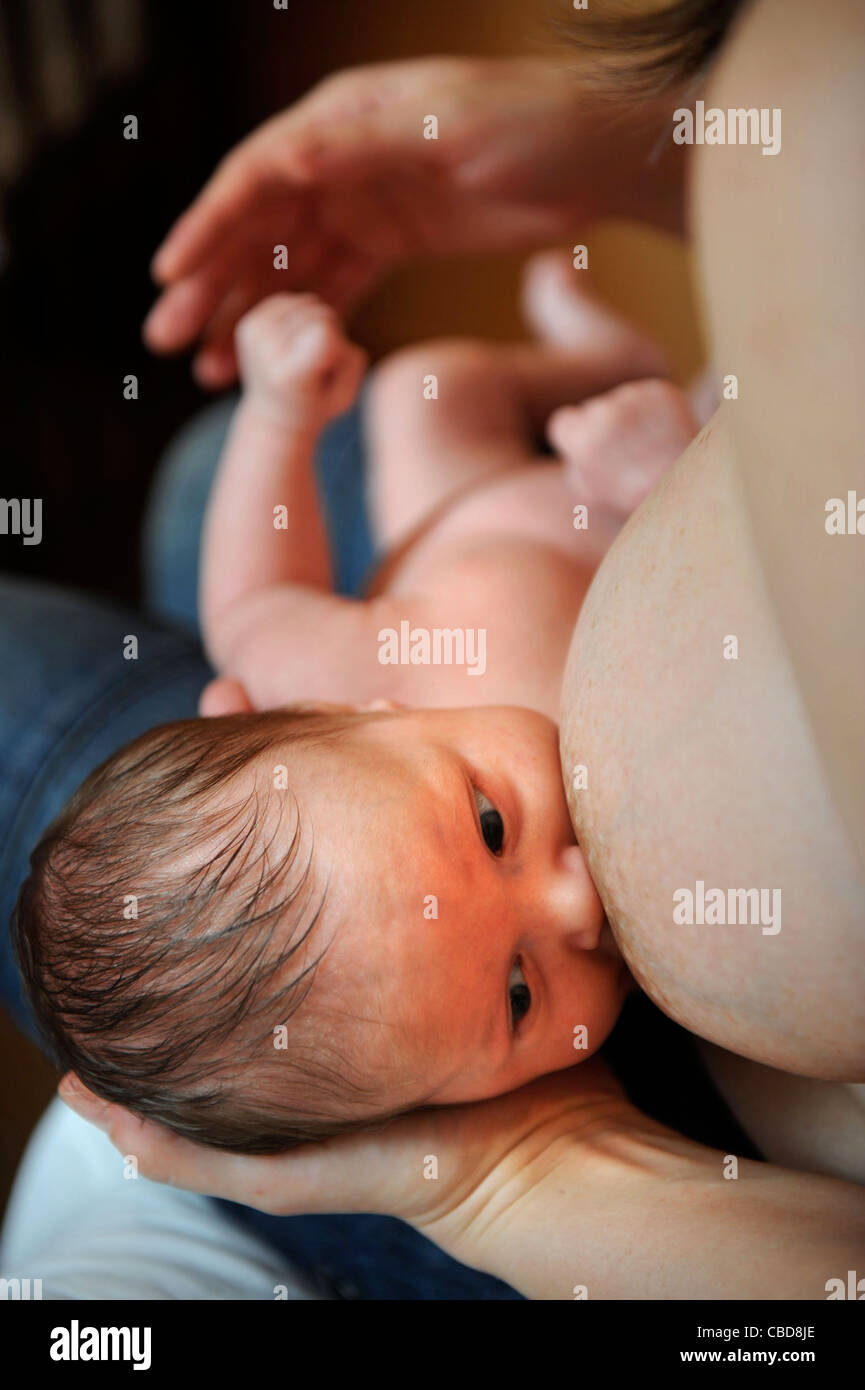 Un mese di old baby boy allattamento con sua madre REGNO UNITO Foto Stock