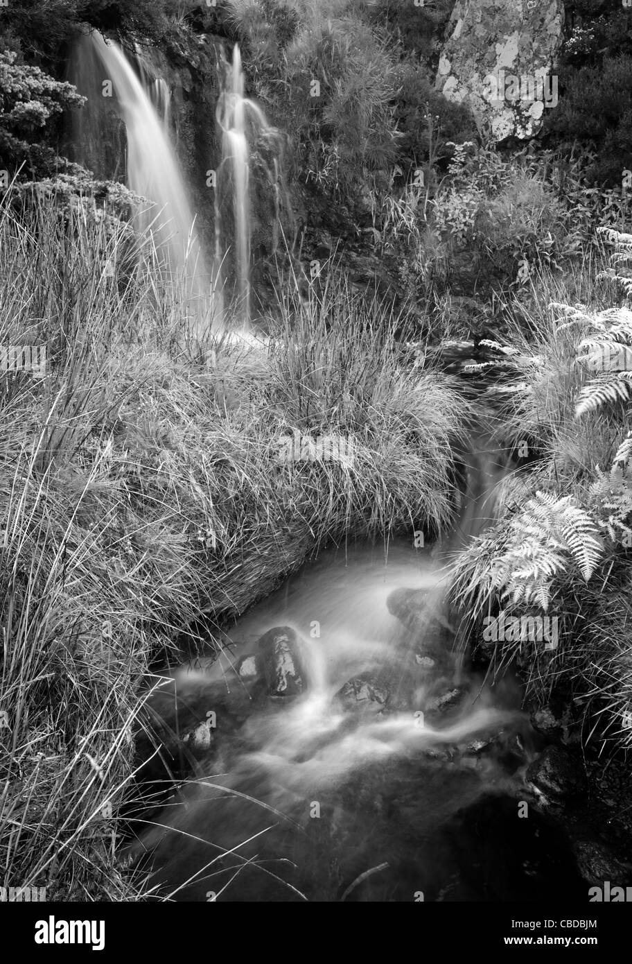 La cascata e flusso sulla rupe Walla in Cumbria Foto Stock