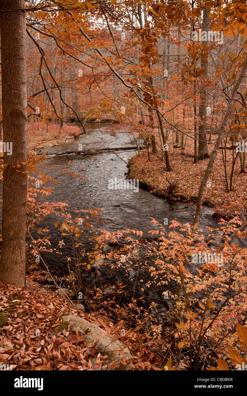 Attraversare il fiume in autunno (caduta) in Ward Poundridge County Park, Salem, nello Stato di New York, Stati Uniti d'America. Foto Stock