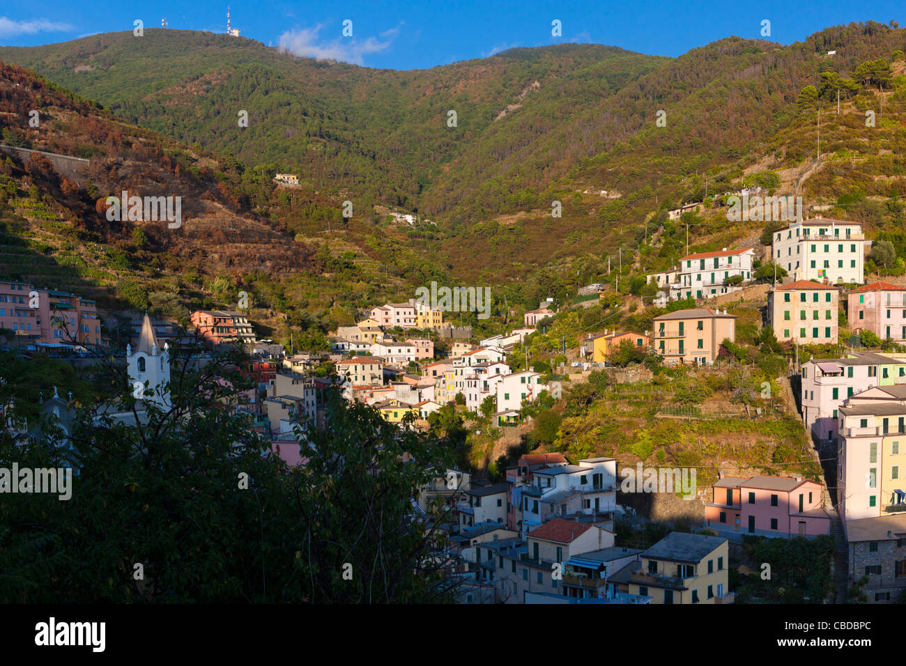 Riomaggiore Cinque Terre, provincia di La Spezia, Liguria, Italia, Europa Foto Stock