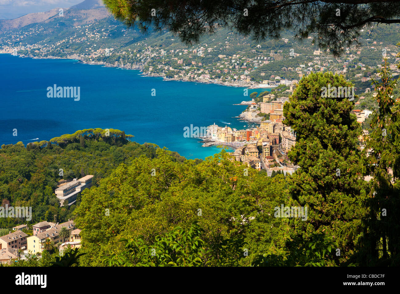 Elevato angolo di vista a Camogli, la Riviera di Levante, Provincia di Genova, Liguria, Italia, Europa Foto Stock