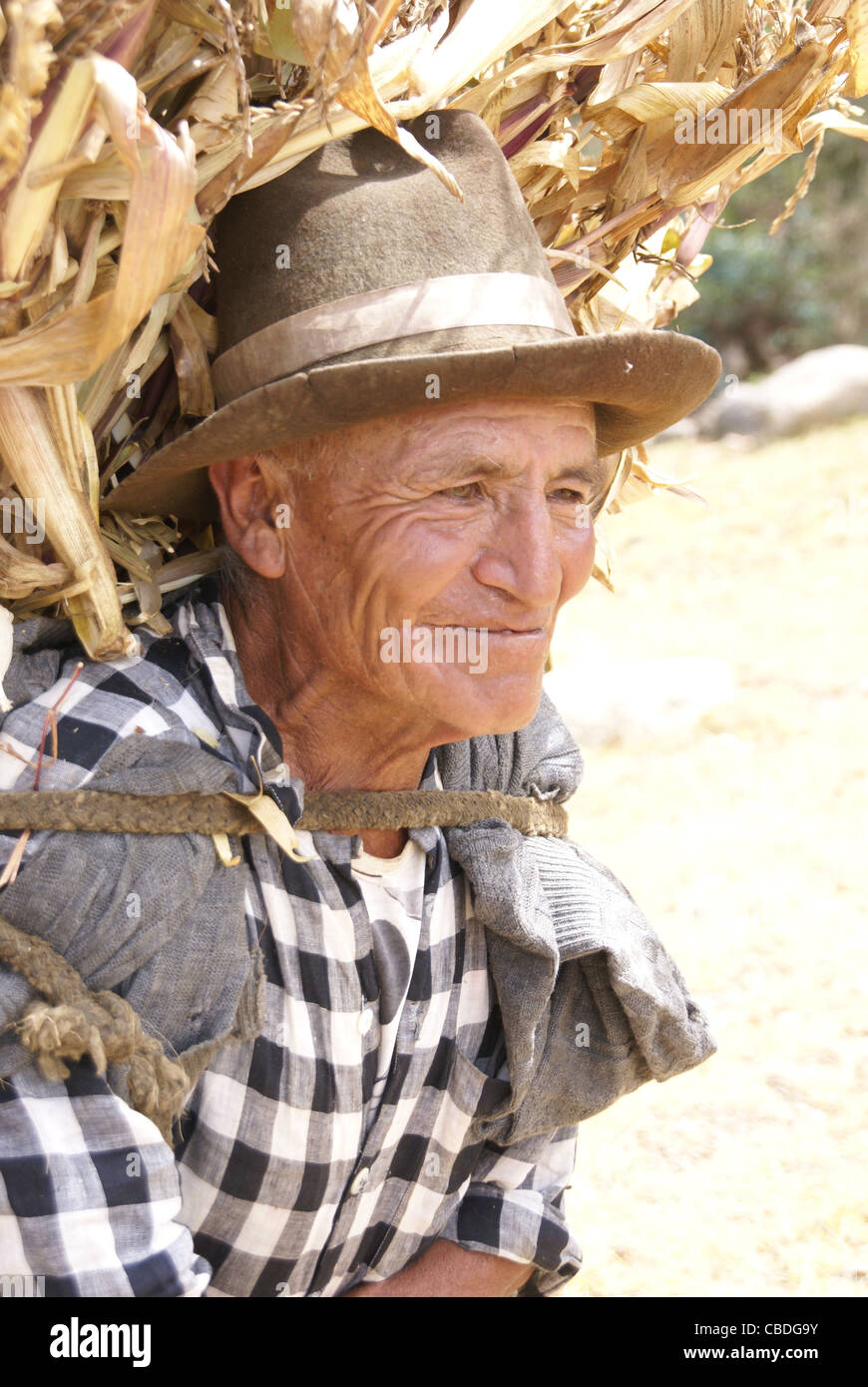 HUARAZ, Perù - AGO 8 - vecchio uomo peruviano porta gli stocchi mais per i suoi animali il Ago 8, 2008 in Huaraz, Perù Foto Stock