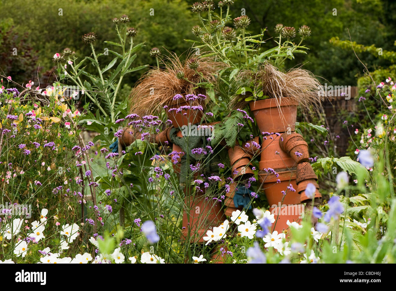 Piantando mescolato tra cui: Verbena bonariensis, Cosmos bipinnatus "purezza", Cynara cardunculus, Lathyrus odoratus " Flora Norton' Foto Stock