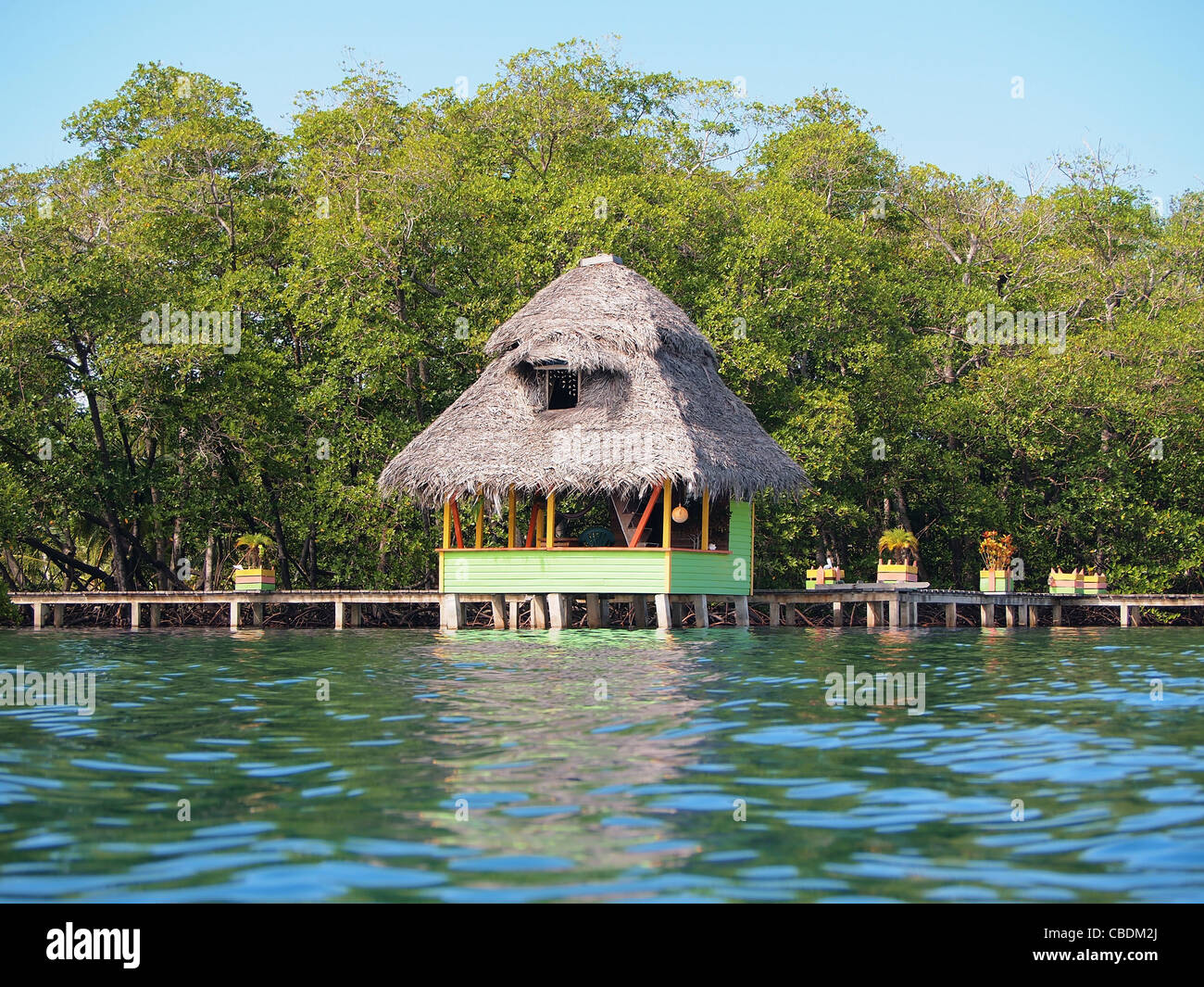 Tropical capanna con il tetto di paglia su acqua con lussureggianti alberi di mangrovia in background e il mare dei Caraibi, America Centrale, Bocas del Toro, Panama Foto Stock