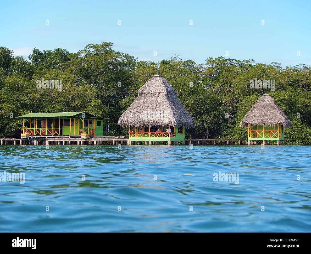 Tropical bungalows sull'acqua con vegetazione lussureggiante, Costa Caraibica di Panama, Bocas del Toro, America Centrale Foto Stock