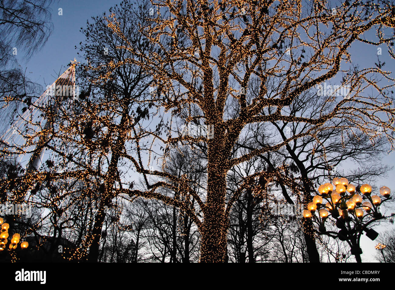 Struttura ad albero delle luci fairy a Liseberg Mercatino di Natale, Göteborg, Västergötland & Bohuslän Provincia, il Regno di Svezia Foto Stock