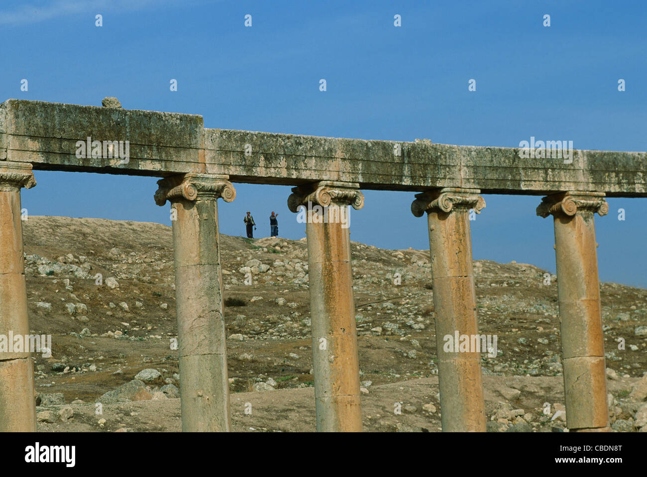 Colonnato delle rovine romane di Jerash in Giordania Foto Stock