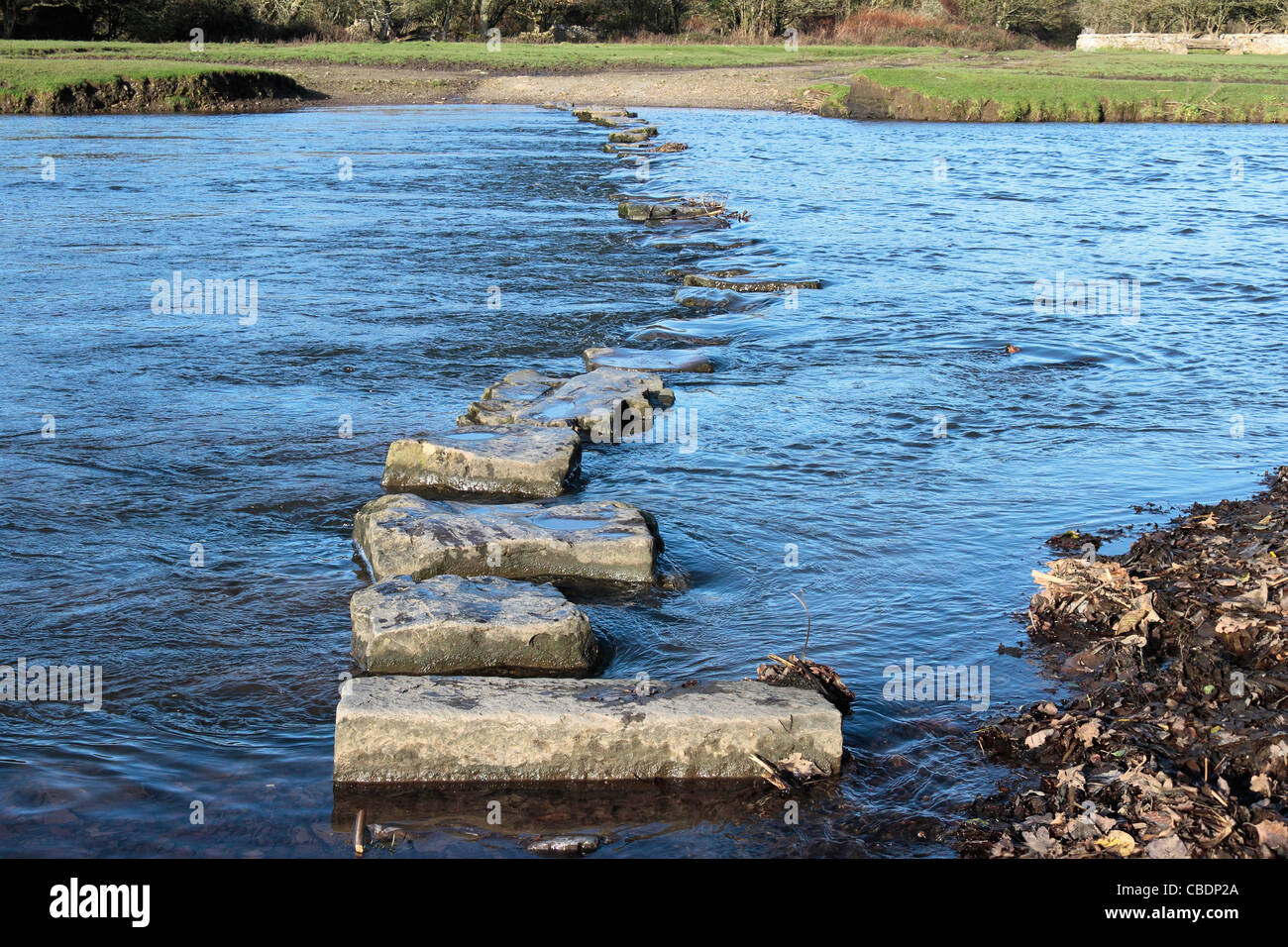 Pietre miliari sul fiume Ewenny, Ogmore Castle Foto Stock