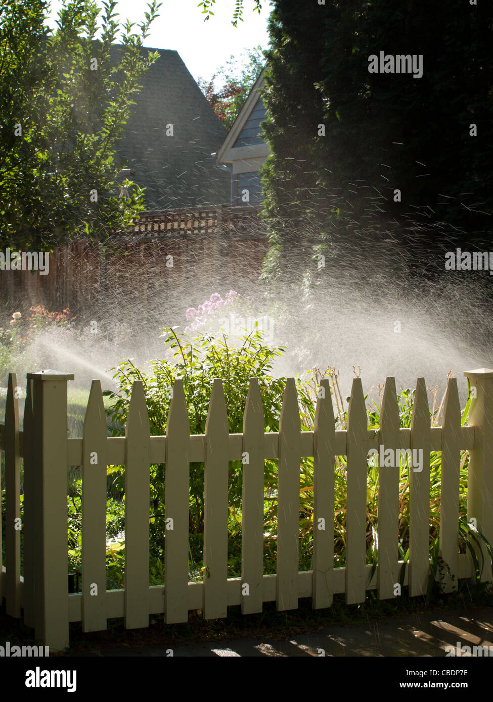 Lo spruzzo da gli irrigatori nel giardino. Foto Stock