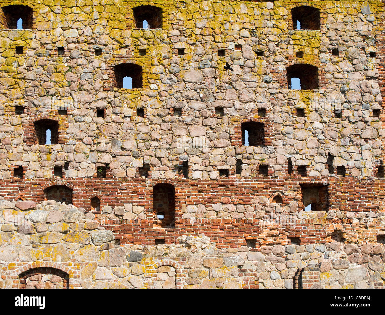 Dettaglio delle mura medievali del castello di hammershus su bornholm, Danimarca Foto Stock