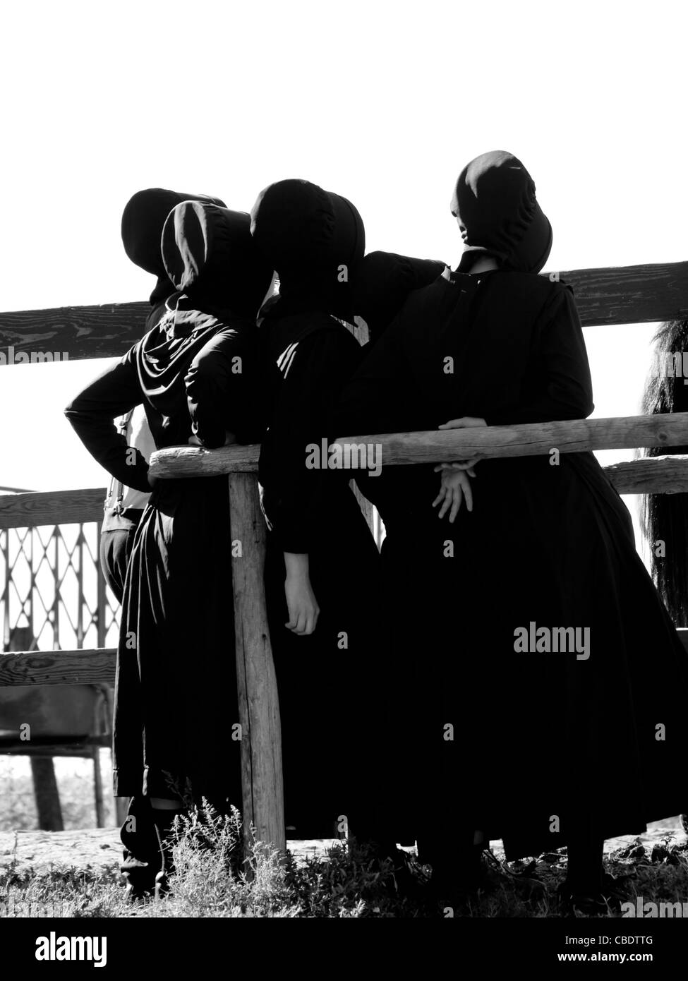 I bambini Amish in azienda. Foto Stock