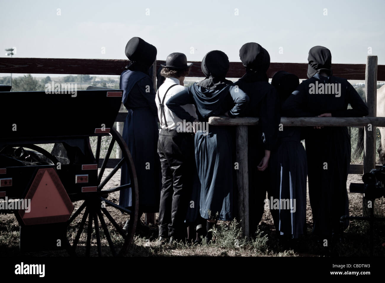 I bambini Amish in azienda. Foto Stock