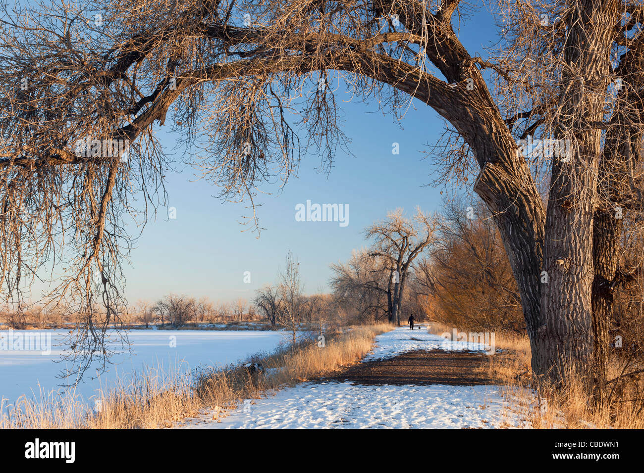 Sentiero invernale lungo il lago Foto Stock