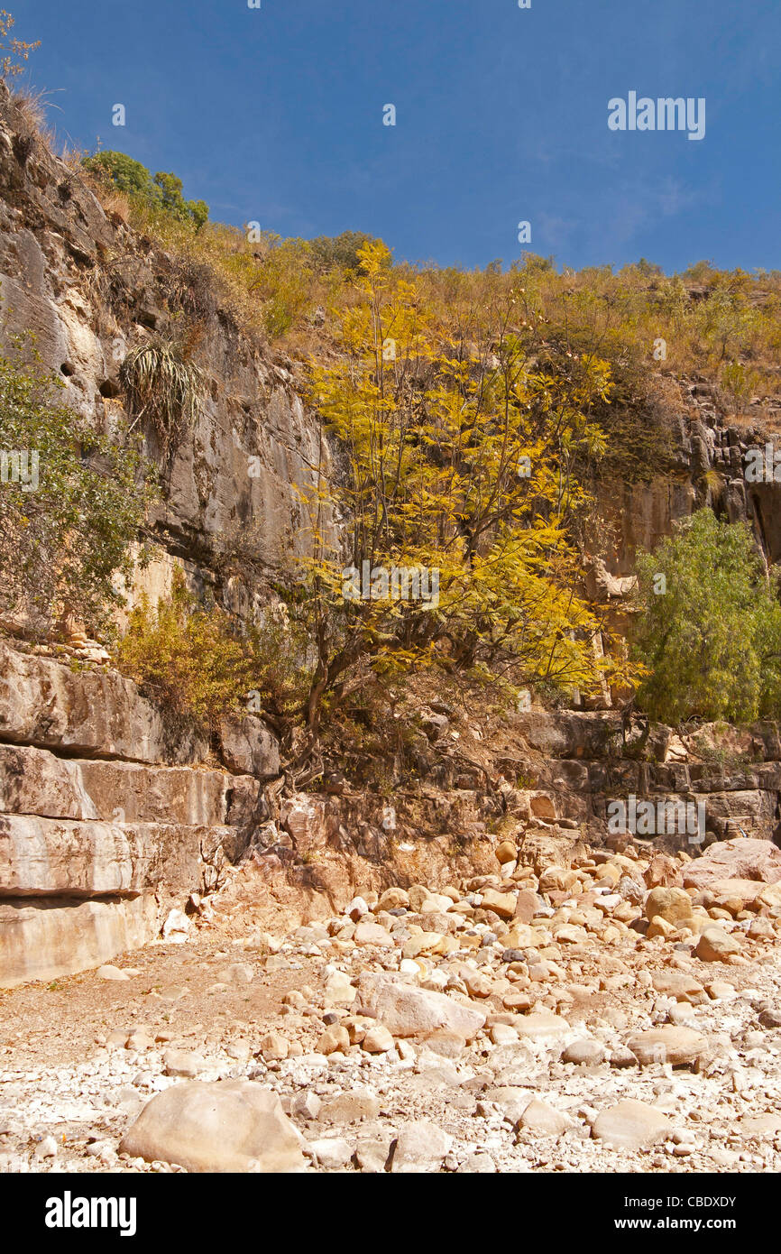 Torotoro parco nazionale in Bolivia Foto Stock