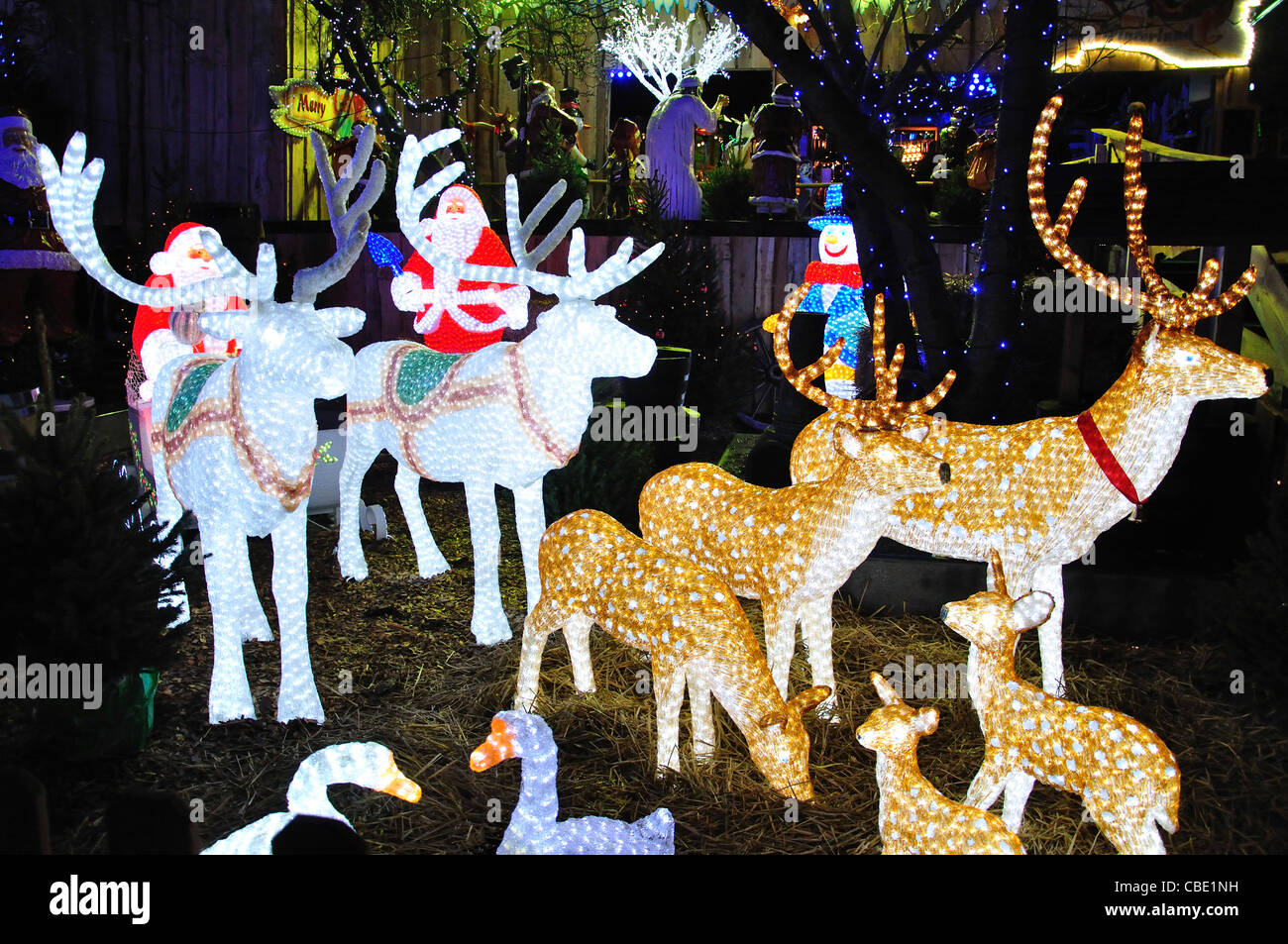 Crystal LED decorazioni di renne al mercato di Natale, Rembrandtplein, Amsterdam, Olanda settentrionale, il Regno dei Paesi Bassi Foto Stock