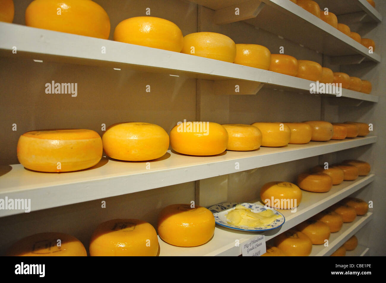 Artigianale di formaggio Gouda ruote su rack, Reguliersbreestraat, Amsterdam, Olanda settentrionale, il Regno dei Paesi Bassi Foto Stock