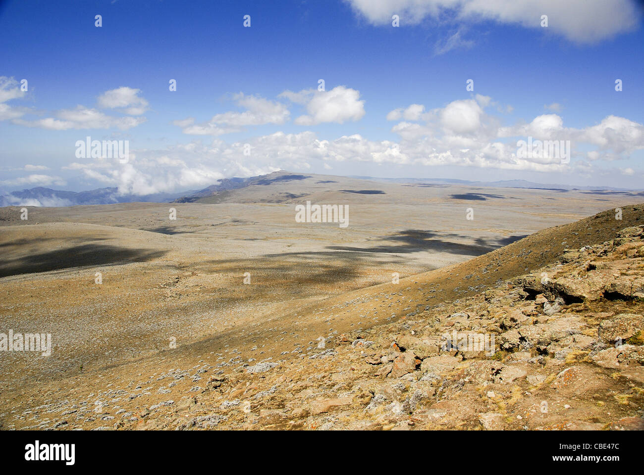 Africa, Etiopia, Regione Oromia, montagne della balla Foto Stock