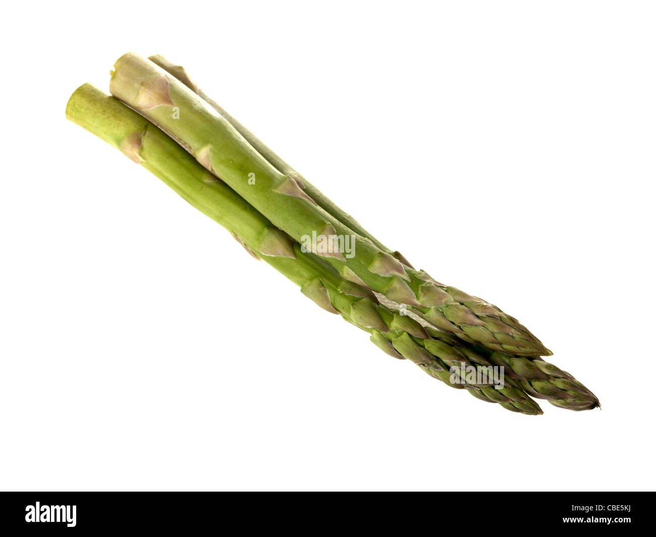 Crudo fresco crudo asparagi di lusso isolato contro uno sfondo bianco con un tracciato di ritaglio e nessun popolo Foto Stock