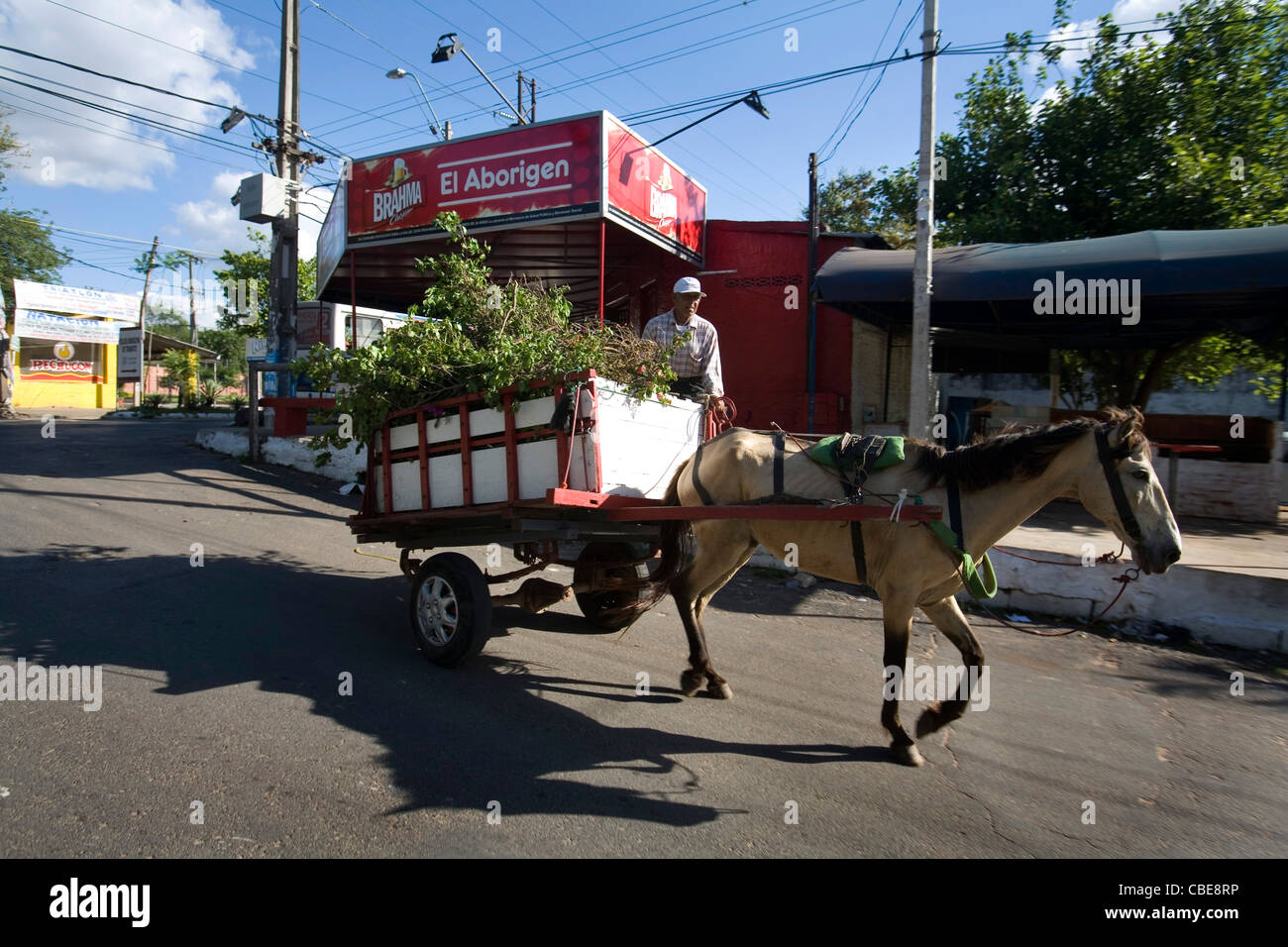 Uomo a cavallo di un lettino e un cavallo in Asunción, Paraguay Foto Stock