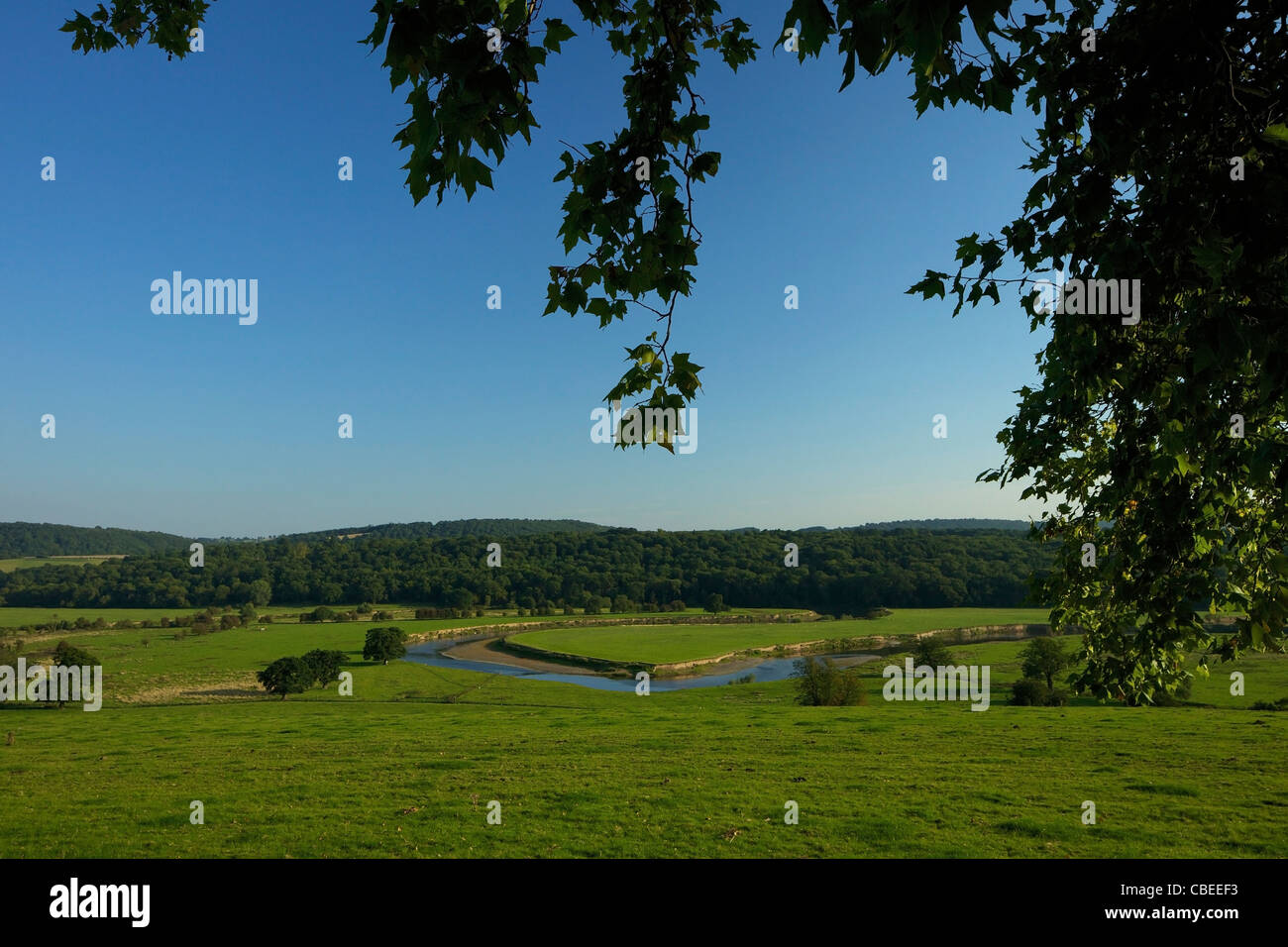 Fiume Severn serpeggianti attraverso Shropshire campagna in estate a Leighton vicino a Ironbridge, Inghilterra, UK, Regno Unito, GB, G Foto Stock