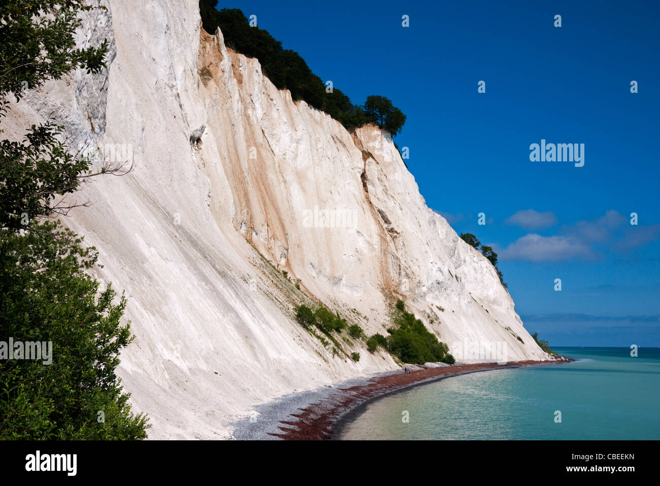 Mons Moens Møns Klint Limestone Coast cliff moen Danimarca Foto Stock