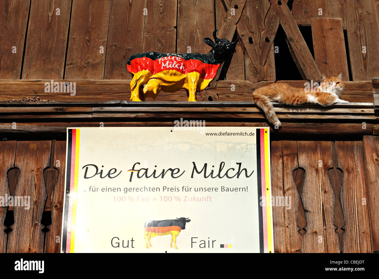 Mucca dipinte in colori tedesco per la fiera i prezzi del latte con un gatto di zenzero a fianco, Chiemgau Alta Baviera Germania Foto Stock
