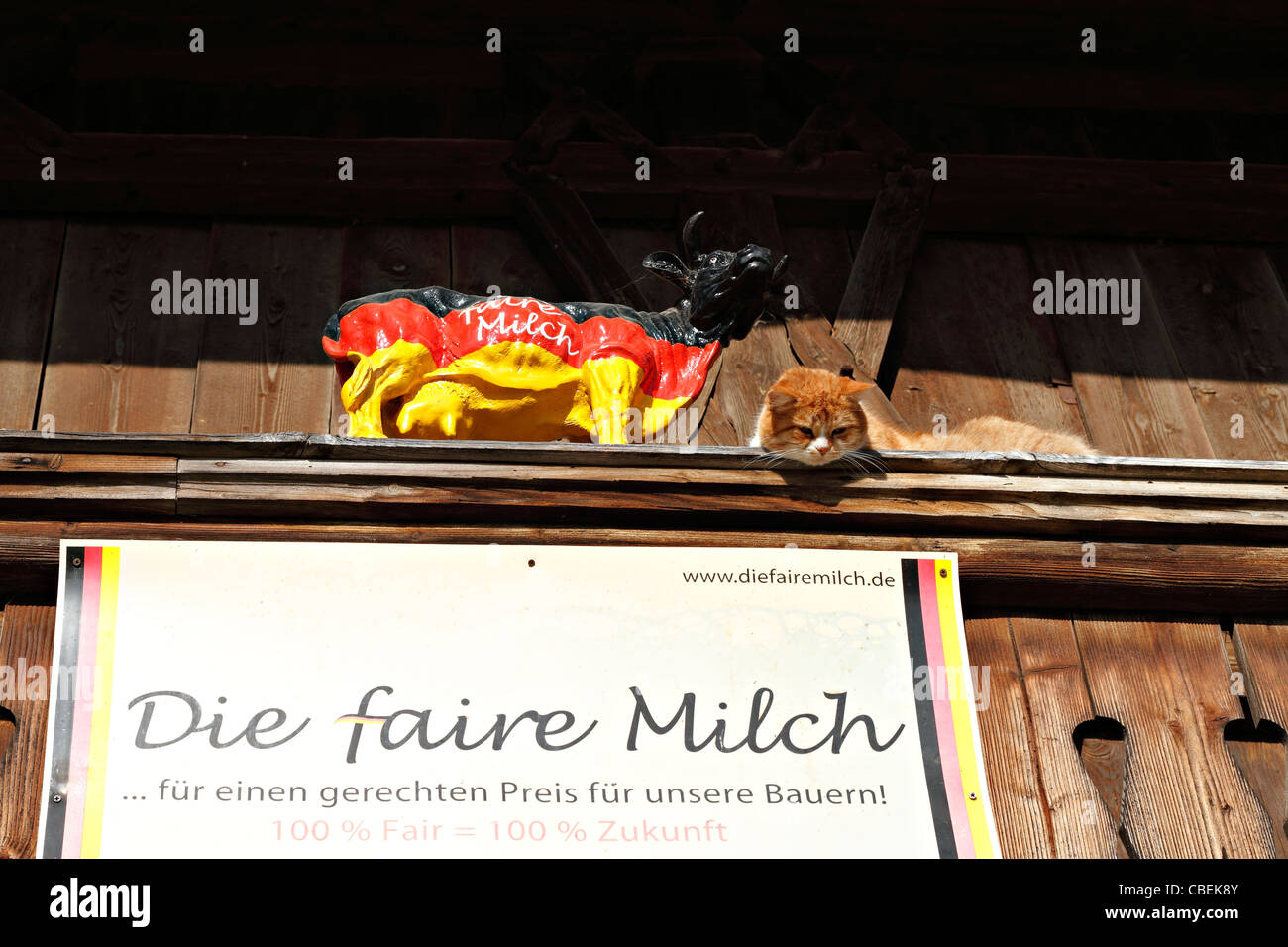 Mucca dipinte in colori tedesco per la fiera i prezzi del latte con un gatto di zenzero a fianco, Chiemgau Alta Baviera Germania Foto Stock