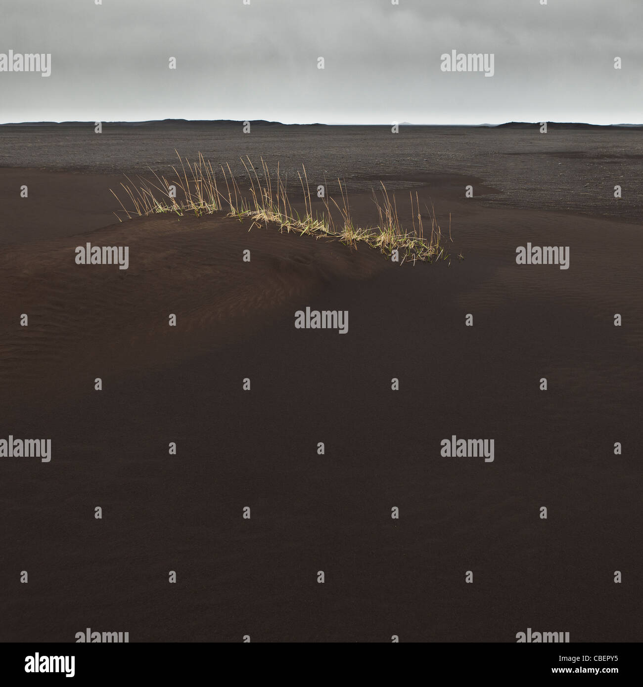 Paesaggio coperto di cenere dal vulcano Grimsvotn eruzione, Kirkjubaejarklaustur Skeidararsandur, Islanda Foto Stock