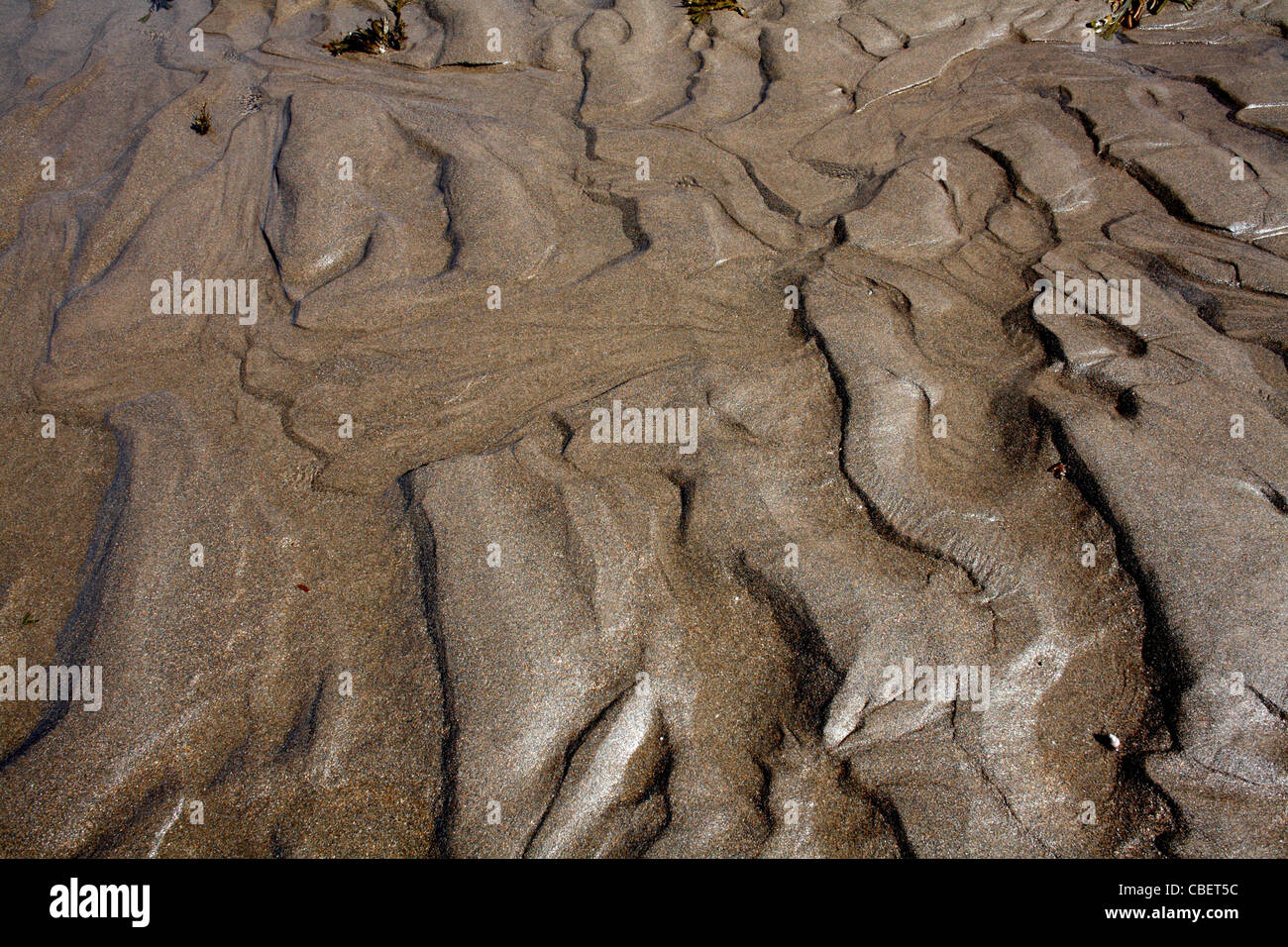 Forme in sabbia a Welcombe bocca. Devon Foto Stock