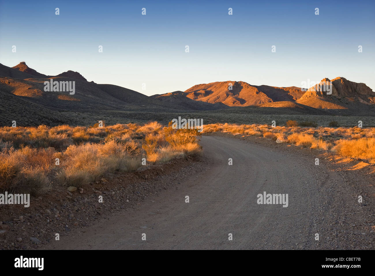 Strada sterrata, deserto del Nevada Foto Stock