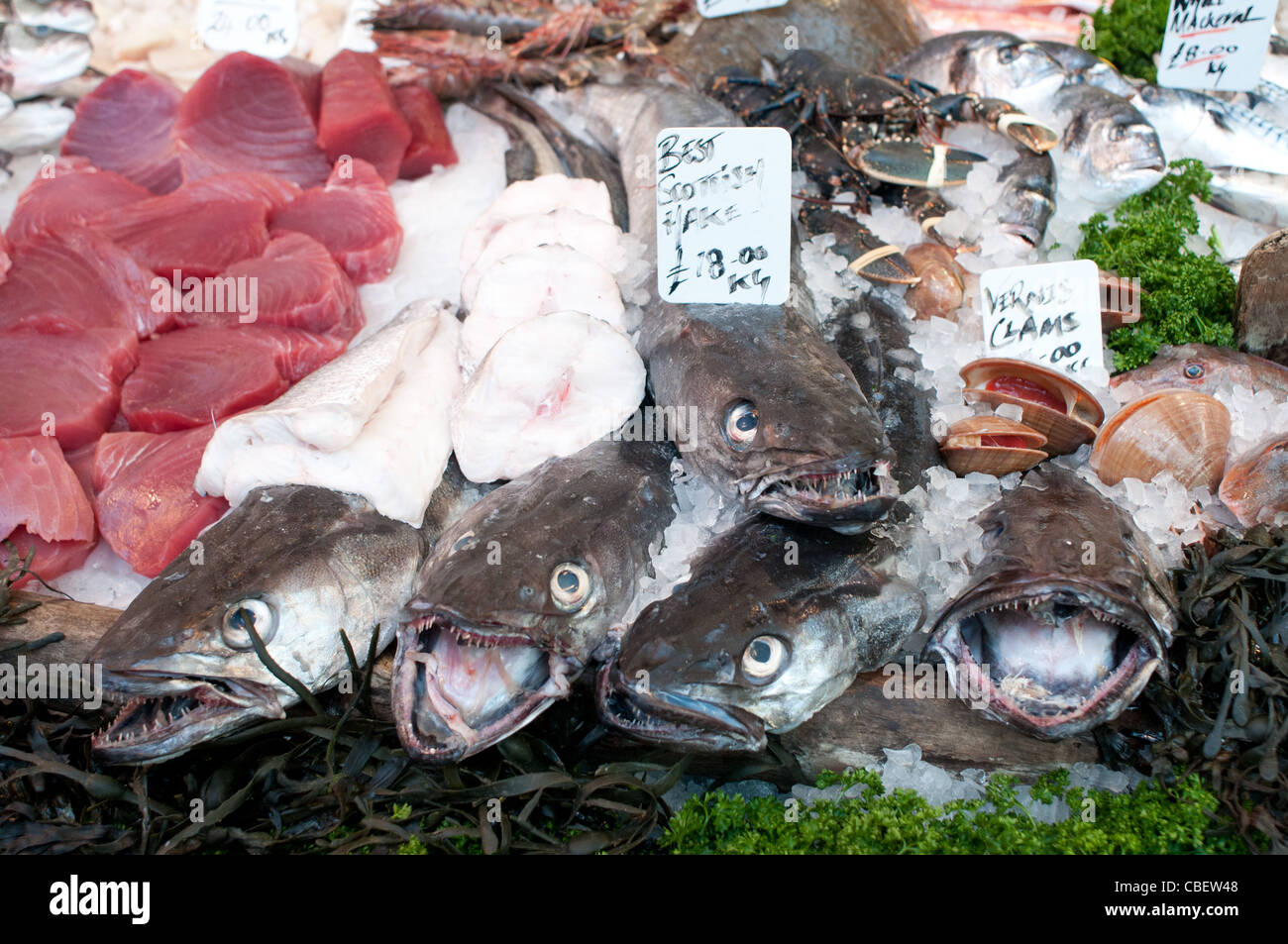 Best Scottish nasello su un pescivendoli stallo a Borough Market, Southwark, Londra, Inghilterra, Regno Unito Foto Stock