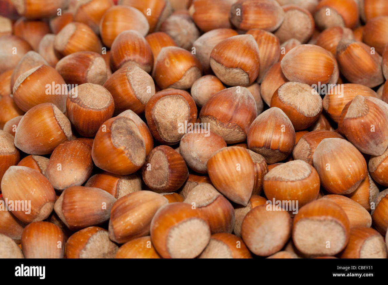 Nocciole fresche in breve come sfondo Foto Stock