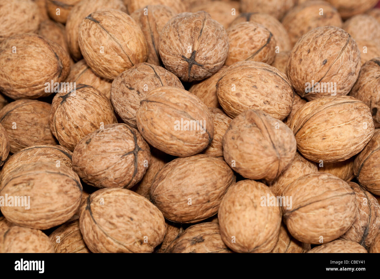 Grandi noci comuni con guscio di noce come sfondo Foto Stock