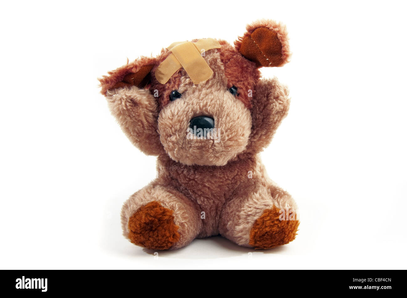 Carino piccolo orsacchiotto con gesso sulla sua testa su uno sfondo bianco Foto Stock