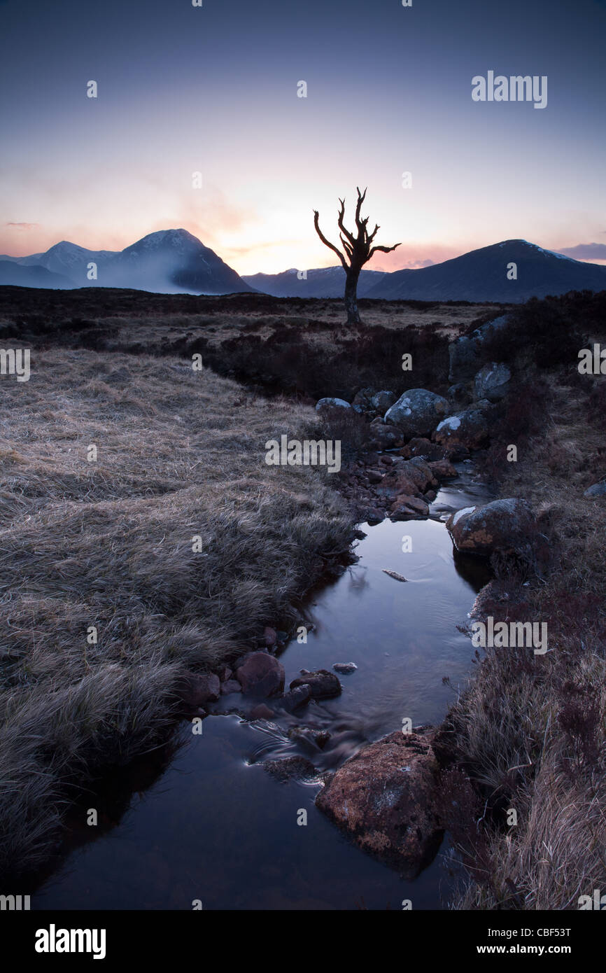 Struttura di scheletro, Rannoch Moor, Scozia Foto Stock