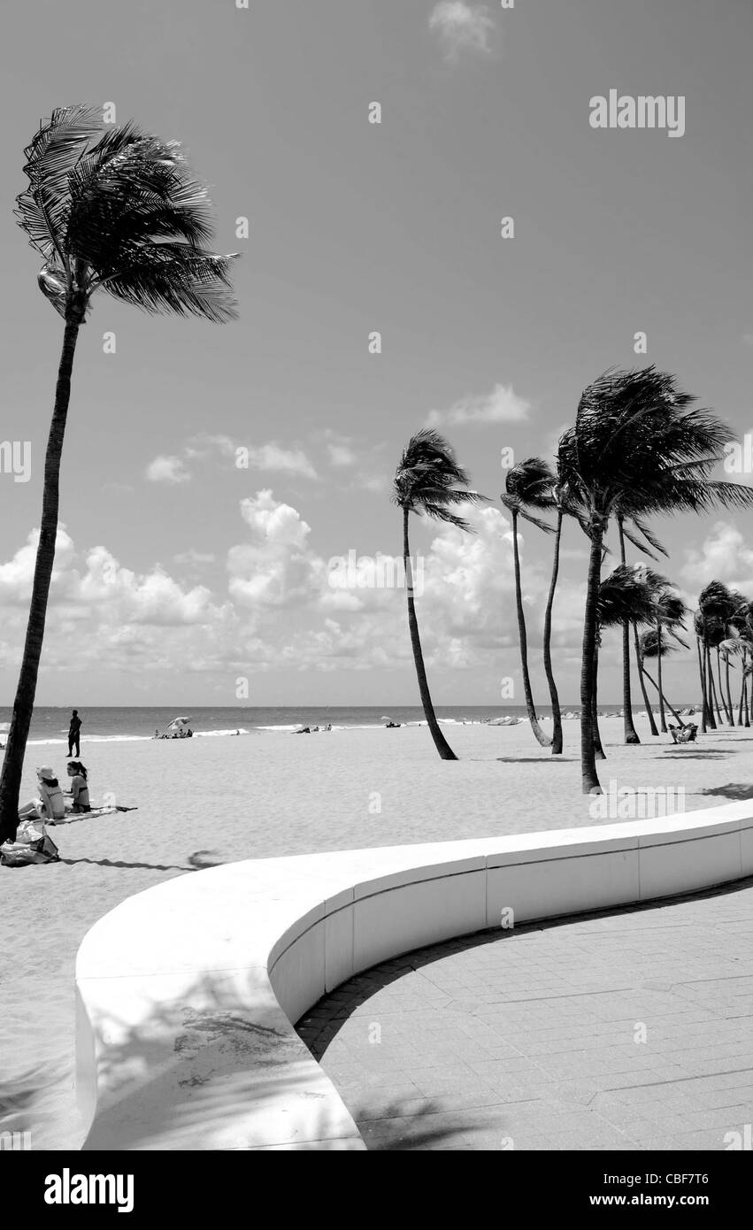 Un bianco & nero vista della spiaggia di Fort Lauderdale Florida Foto Stock