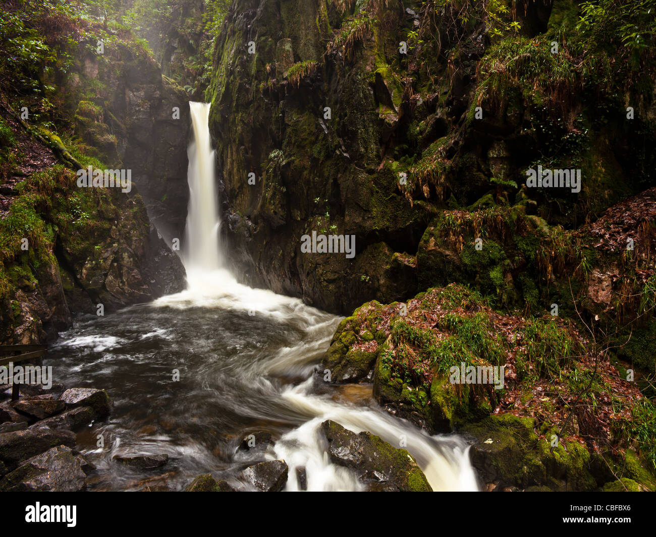 Forza di Stanley cascata, Dalegarth, Lake District inglese Foto Stock