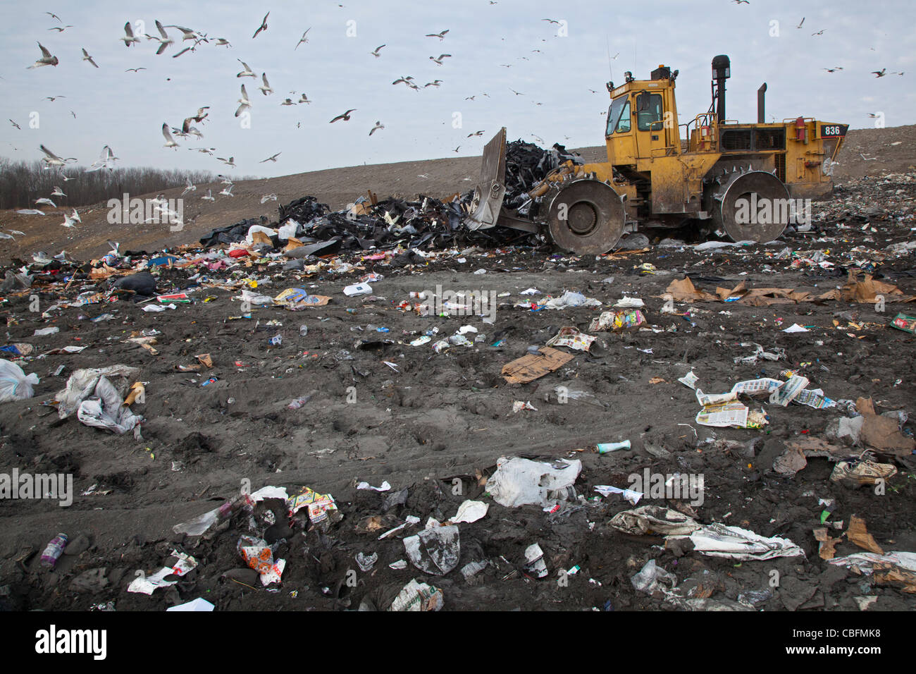 Smith's Creek, Michigan - un bulldozer livelli e compatti garbage a St Clair County's Smith's Creek discarica. Foto Stock