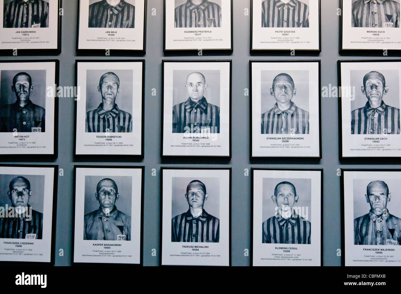 Le fotografie dei detenuti maschi ad Auschwitz I campo di concentramento nazista Foto Stock