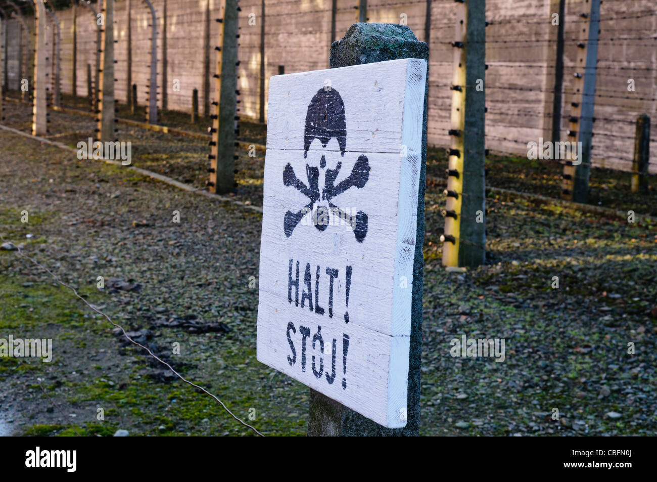 Recinto elettrico ad Auschwitz campo di concentramento nazista Foto Stock